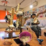 Kopi Cat Cafe