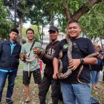 Bintaro Animal Lovers